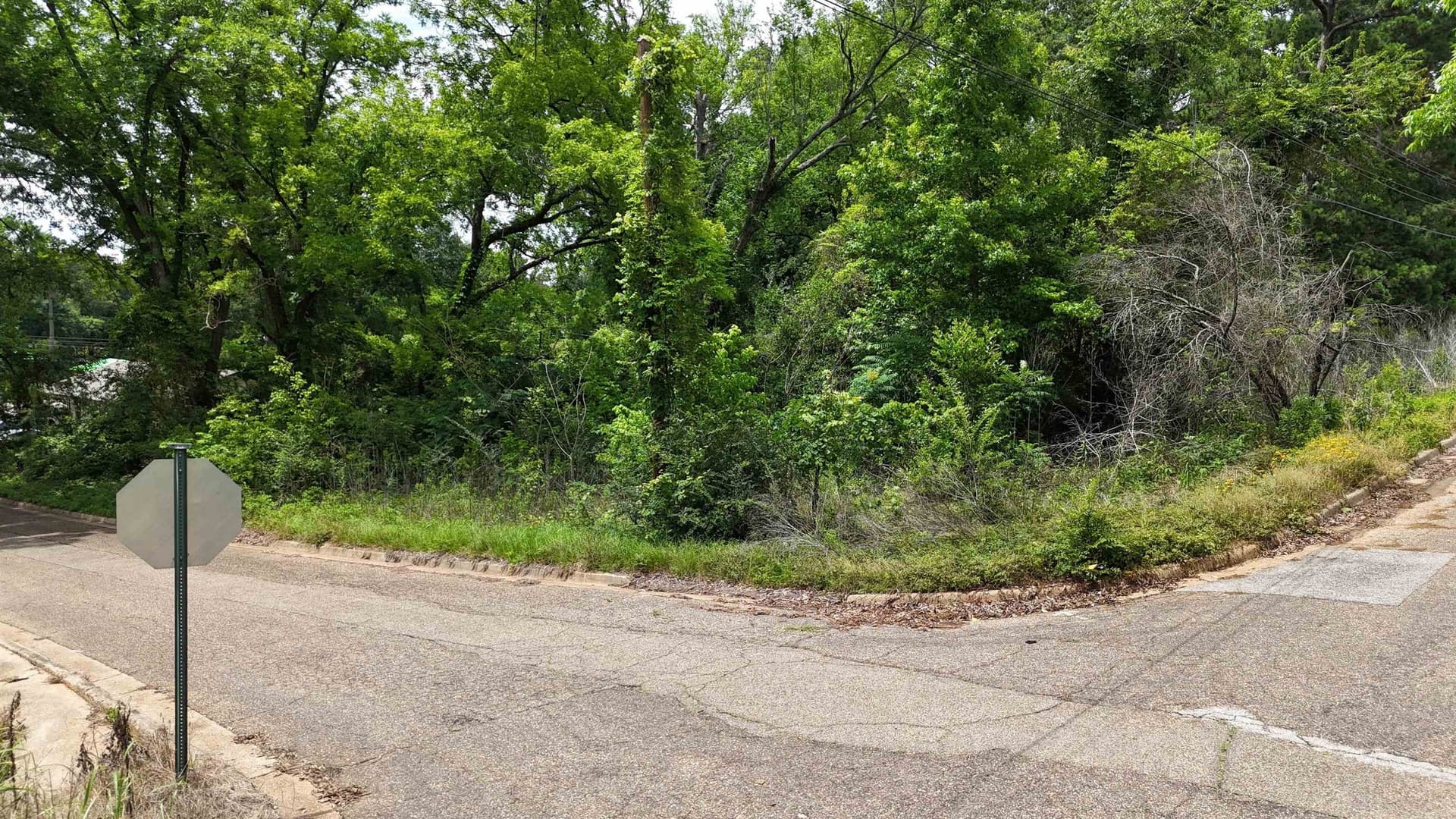 0.2 acres in Texas County featured view