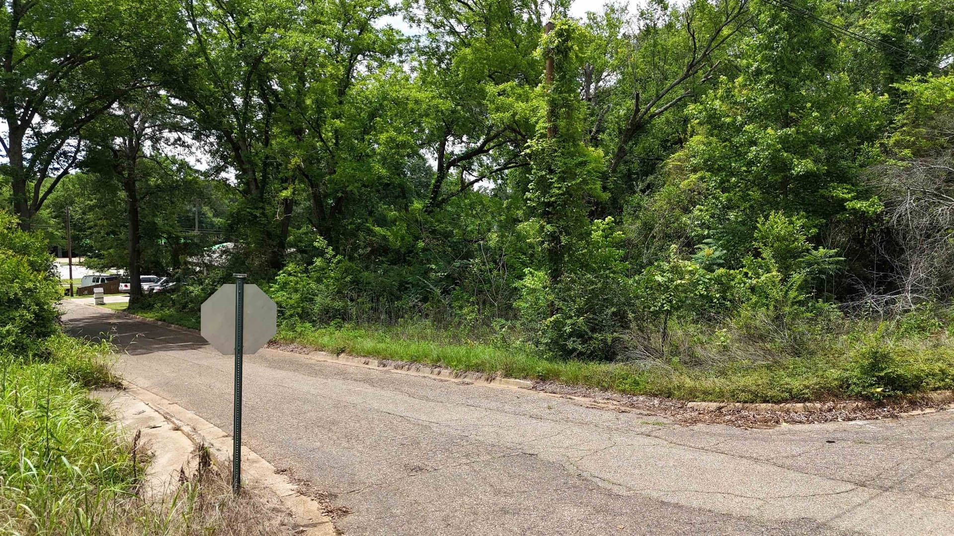 0.2 acres in Texas County - photo 6