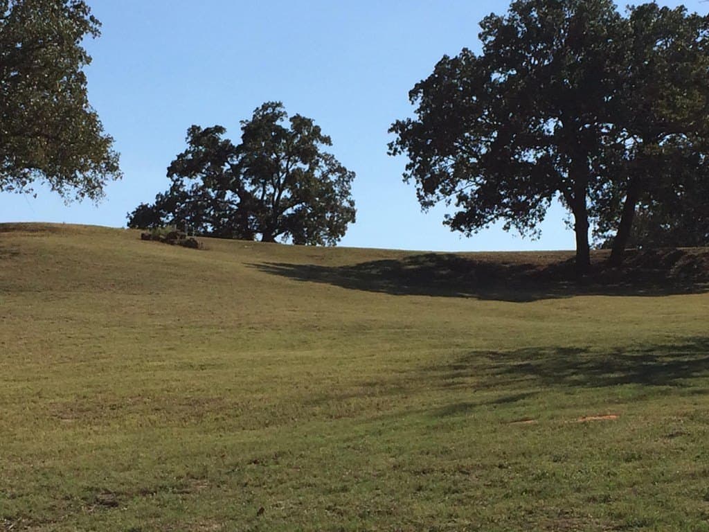 1 acres in Henderson County - photo 23