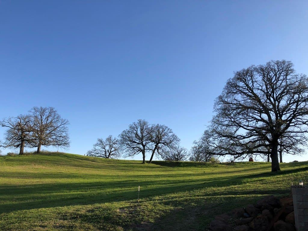 1 acres in Henderson County - photo 19