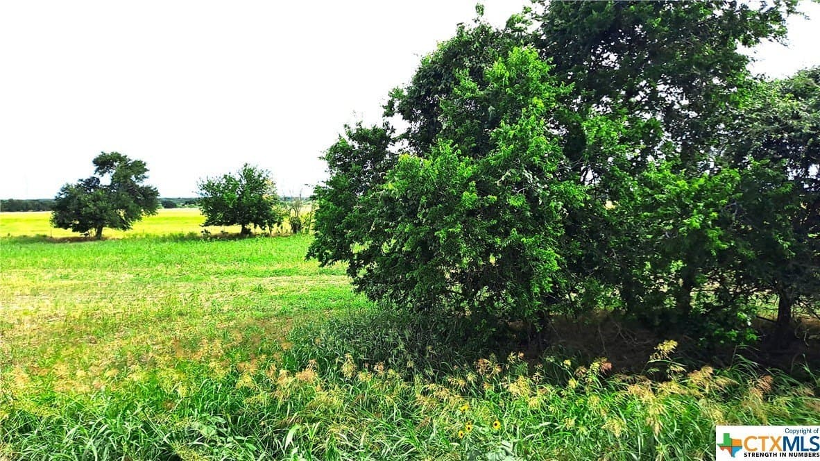 12.56 acres in Texas County gallery image 2