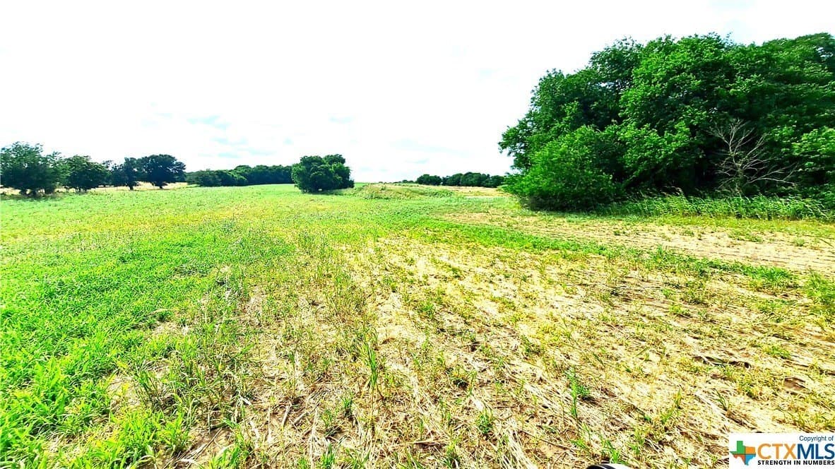 12.56 acres in Texas County gallery image 4