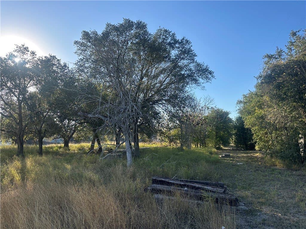 0.43 acres in Refugio County gallery image 2
