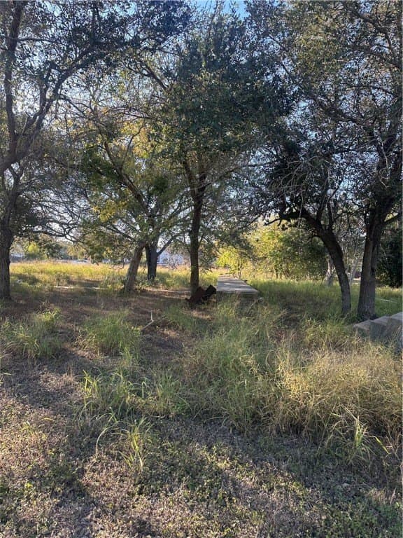 0.43 acres in Refugio County gallery image 3