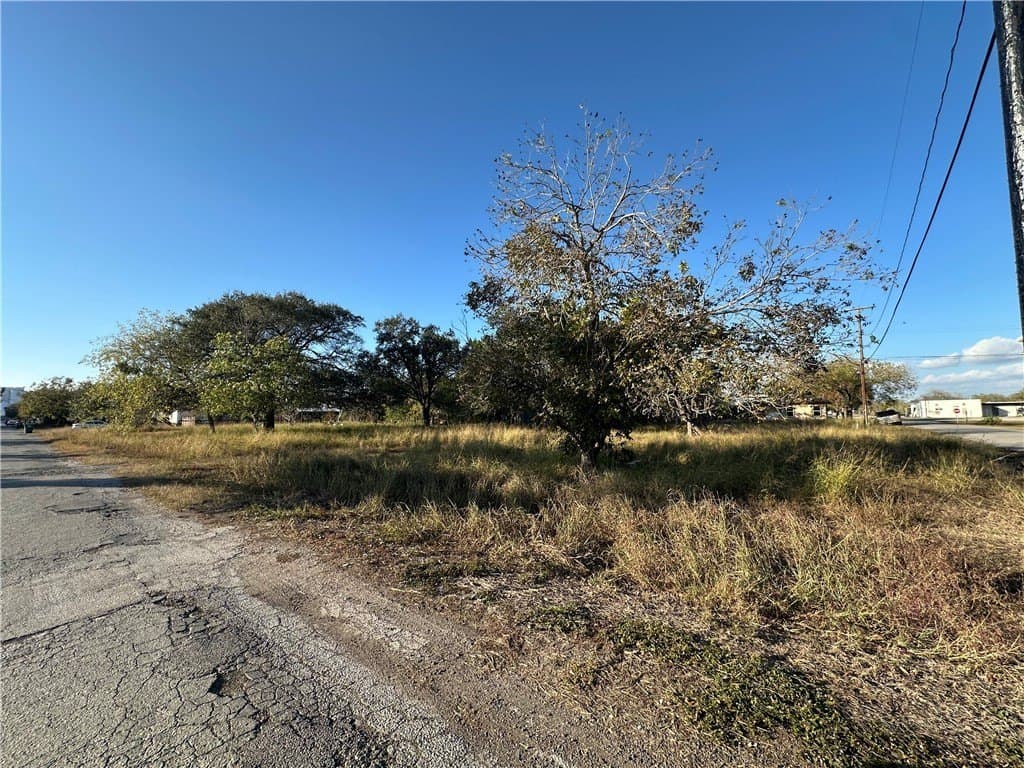 0.43 acres in Refugio County gallery image 4