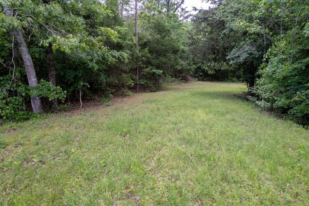 0.75 acres in ANDERSON County - photo 11