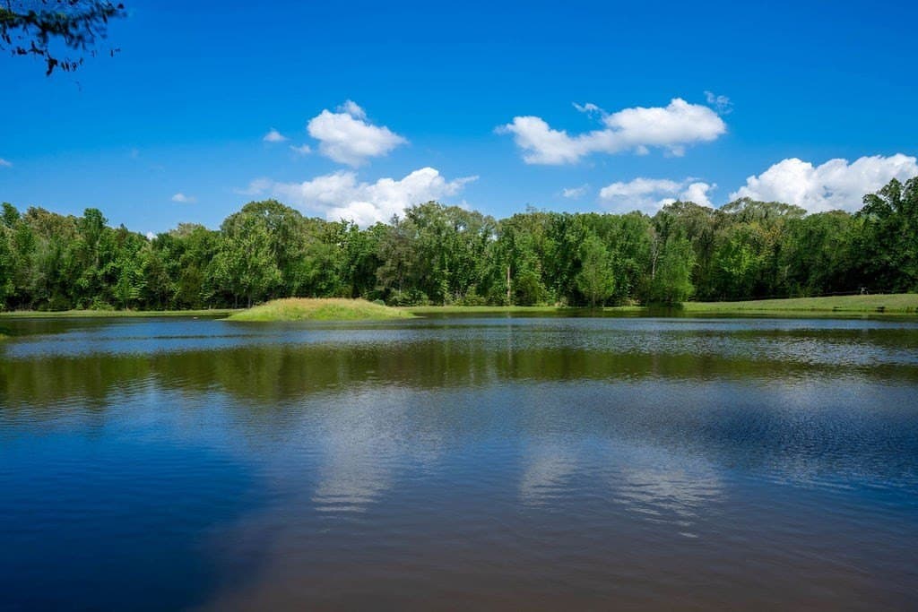 0.75 acres in ANDERSON County - photo 35
