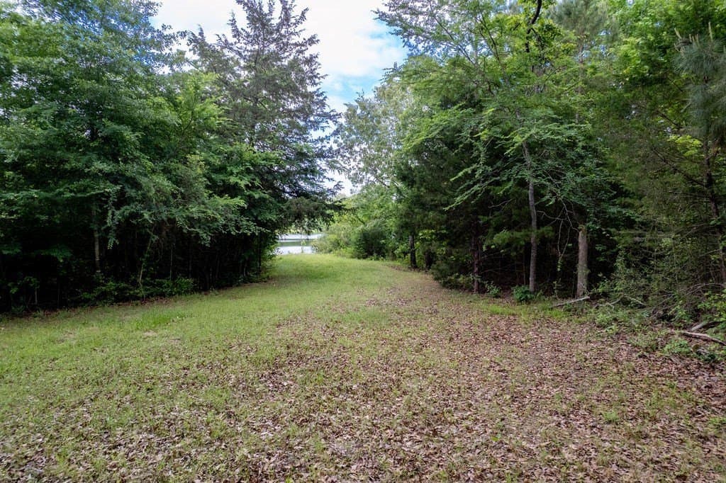 0.75 acres in ANDERSON County gallery image 4