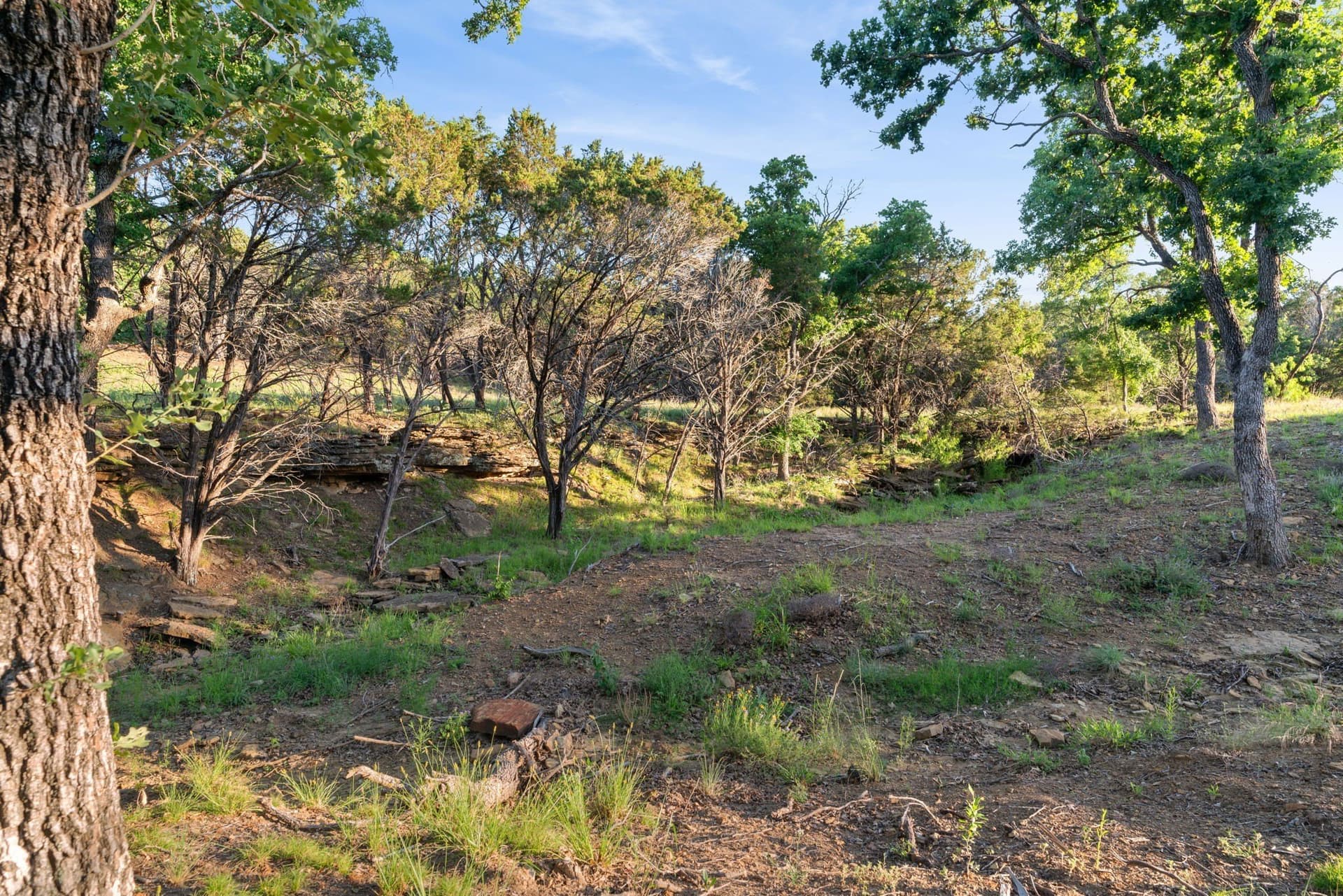 100.06 acres in Eastland County - photo 28