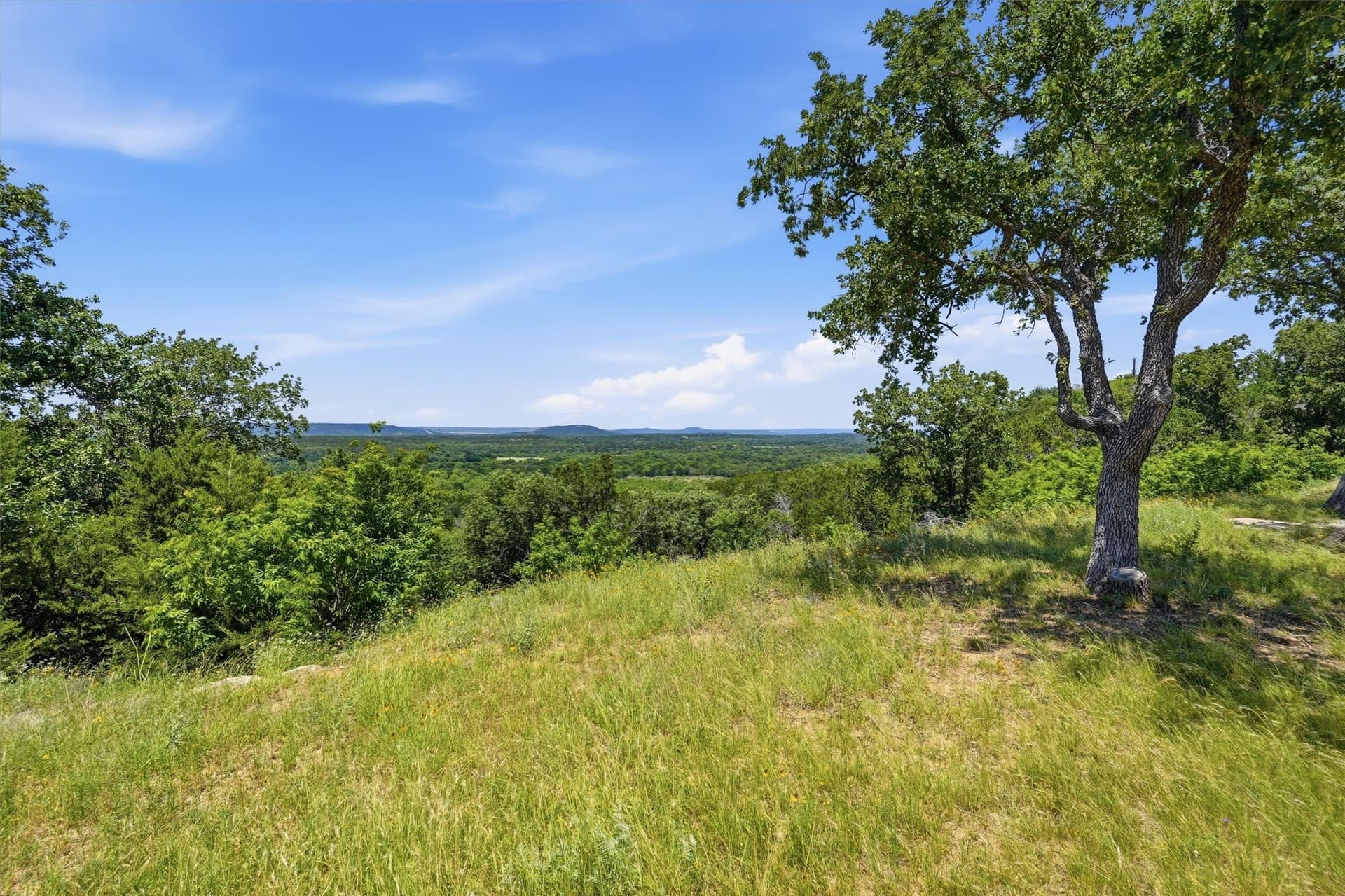 100.06 acres in Eastland County - photo 4