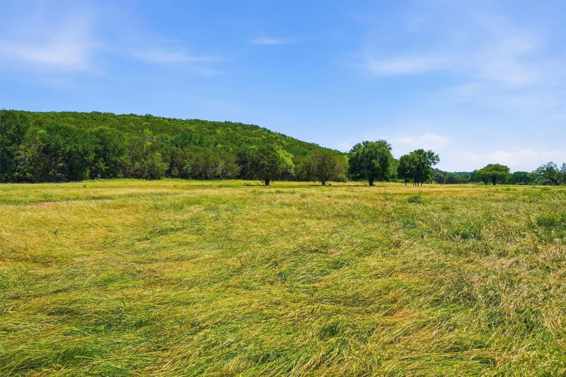 100.06 acres in Eastland County - photo 6