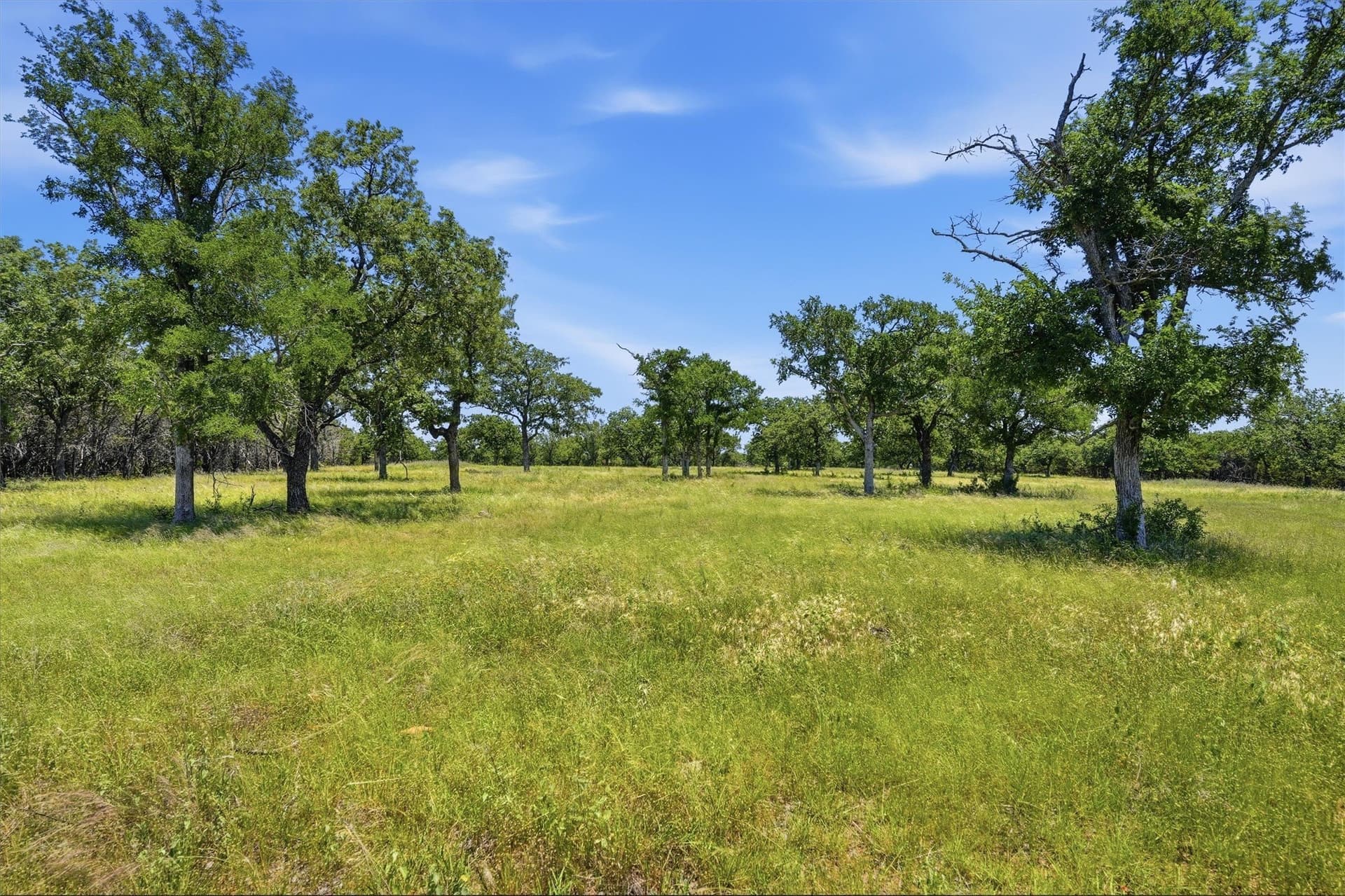 100.06 acres in Eastland County - photo 31