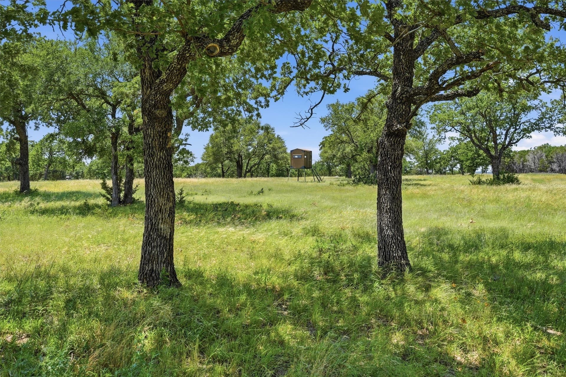 100.06 acres in Eastland County - photo 26