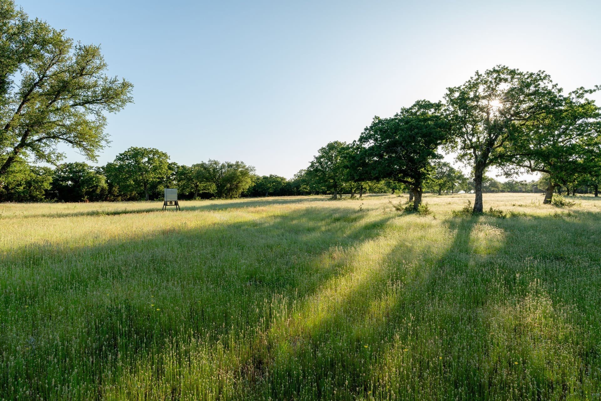 100.06 acres in Eastland County - photo 10