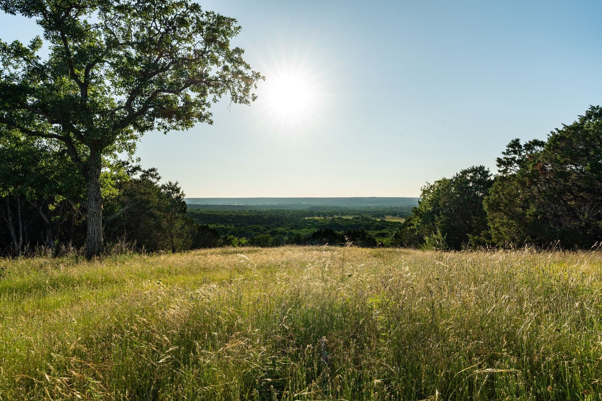 100.06 acres in Eastland County - photo 13