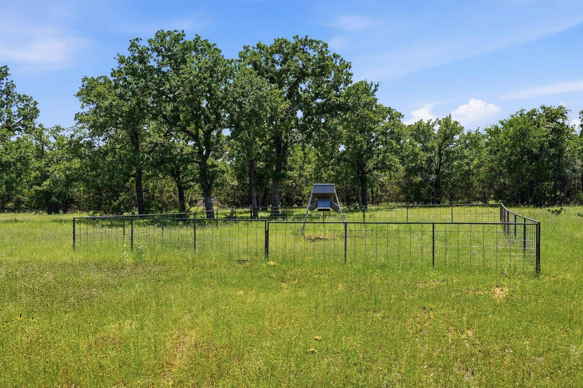 100.06 acres in Eastland County - photo 27