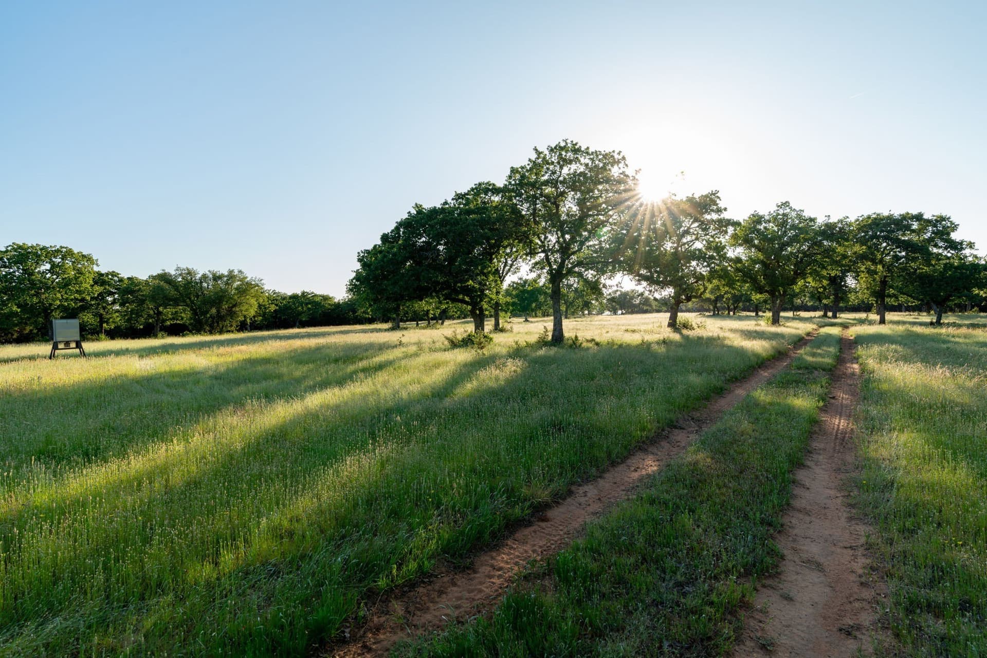 100.06 acres in Eastland County - photo 11
