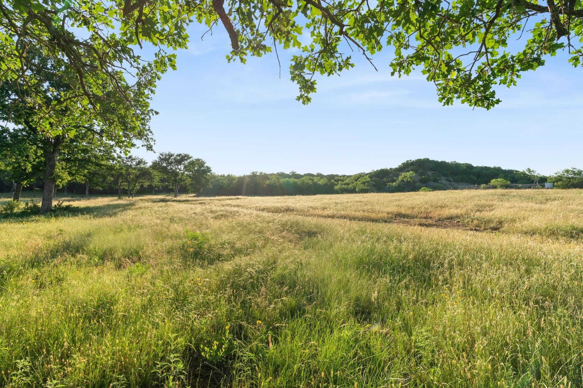 100.06 acres in Eastland County - photo 35
