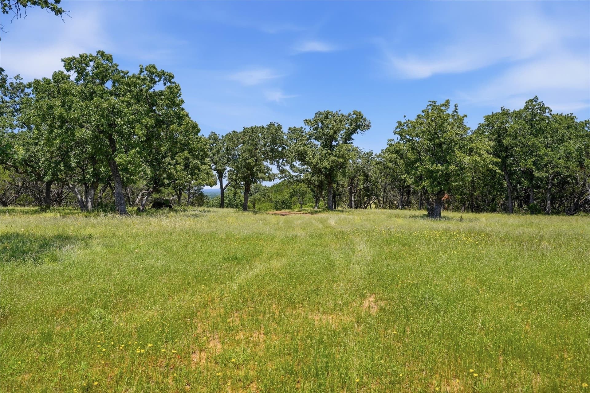 100.06 acres in Eastland County - photo 32