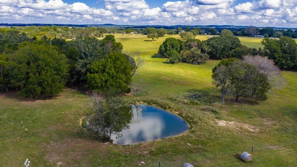 12.16 acres in Henderson County - photo 6