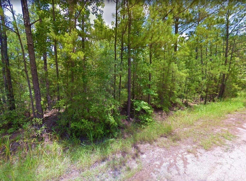 0.19 acres in Texas County gallery image 4