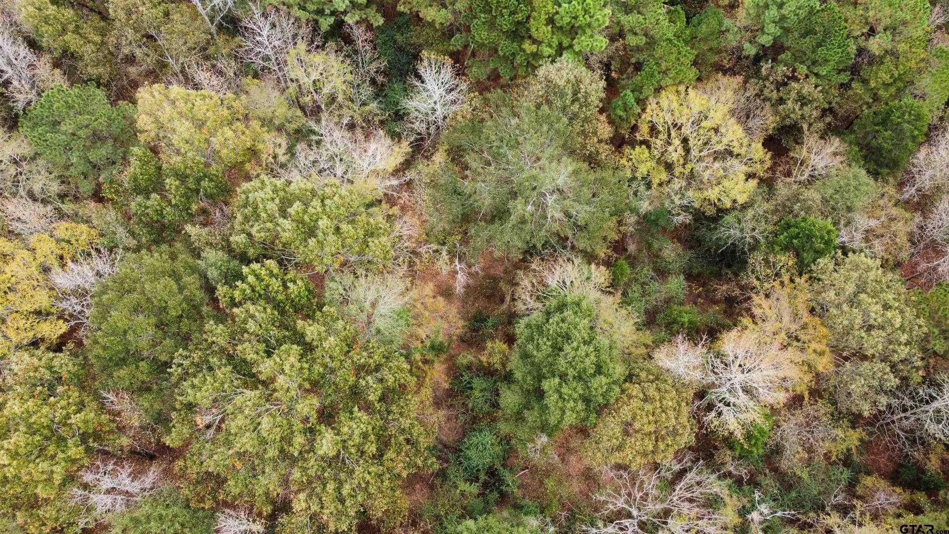 23.68 acres in Smith County featured view