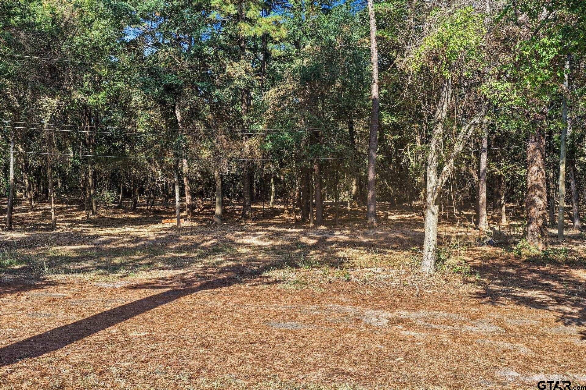 7 acres in Camp County - photo 4