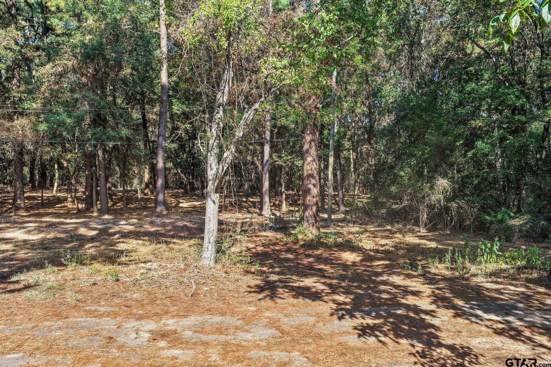 7 acres in Camp County - photo 5