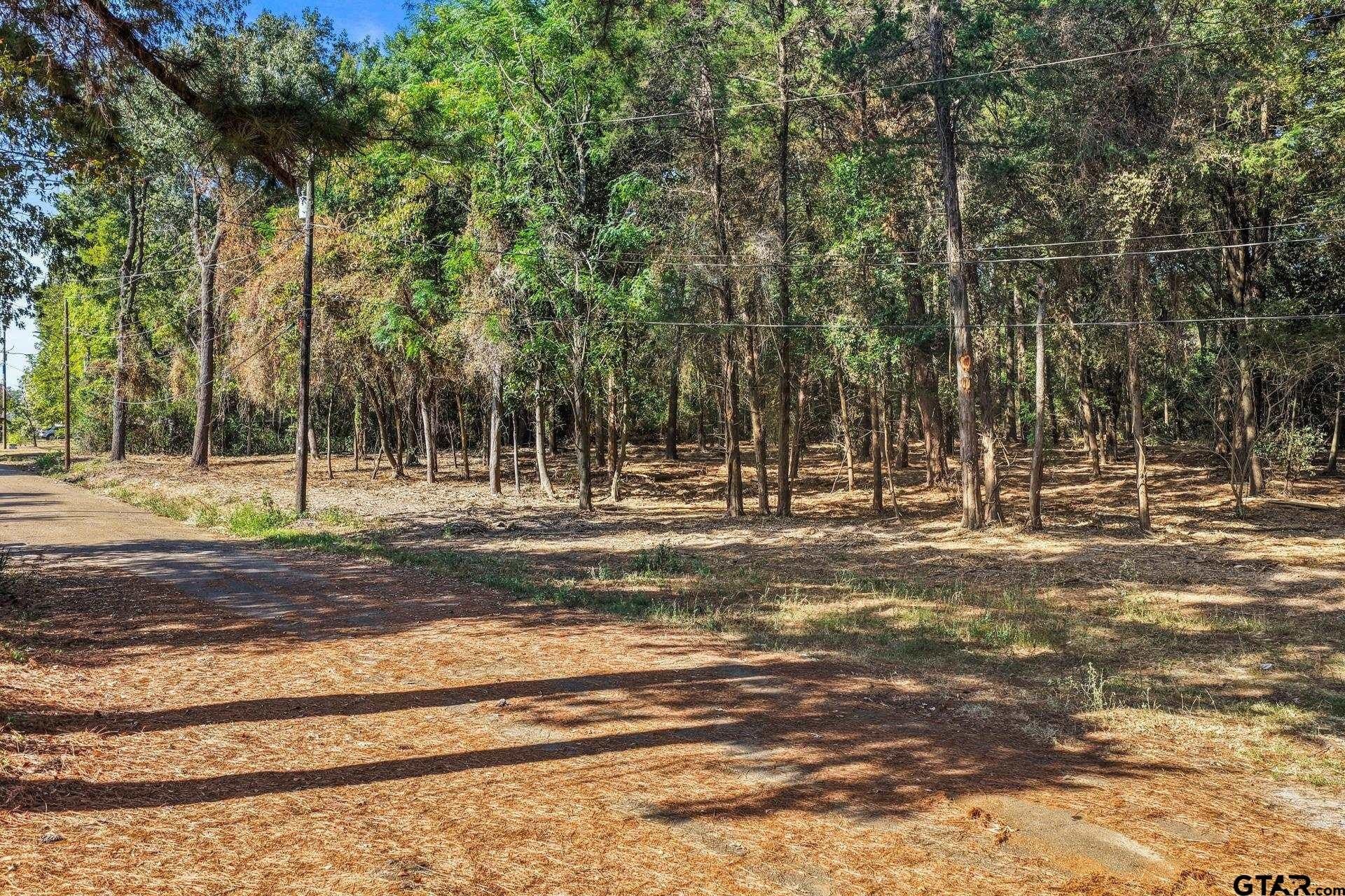 7 acres in Camp County - photo 7