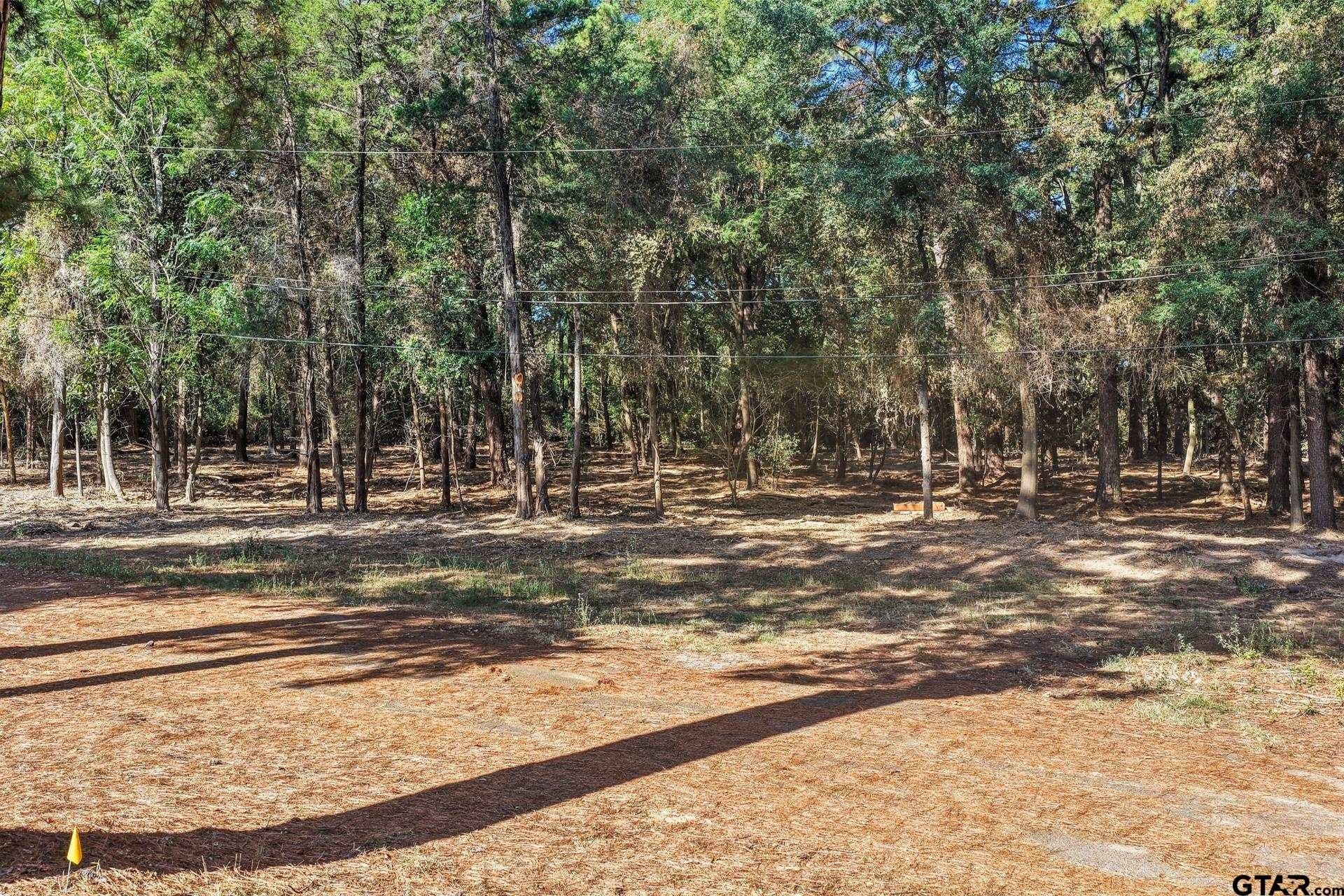 7 acres in Camp County - photo 6