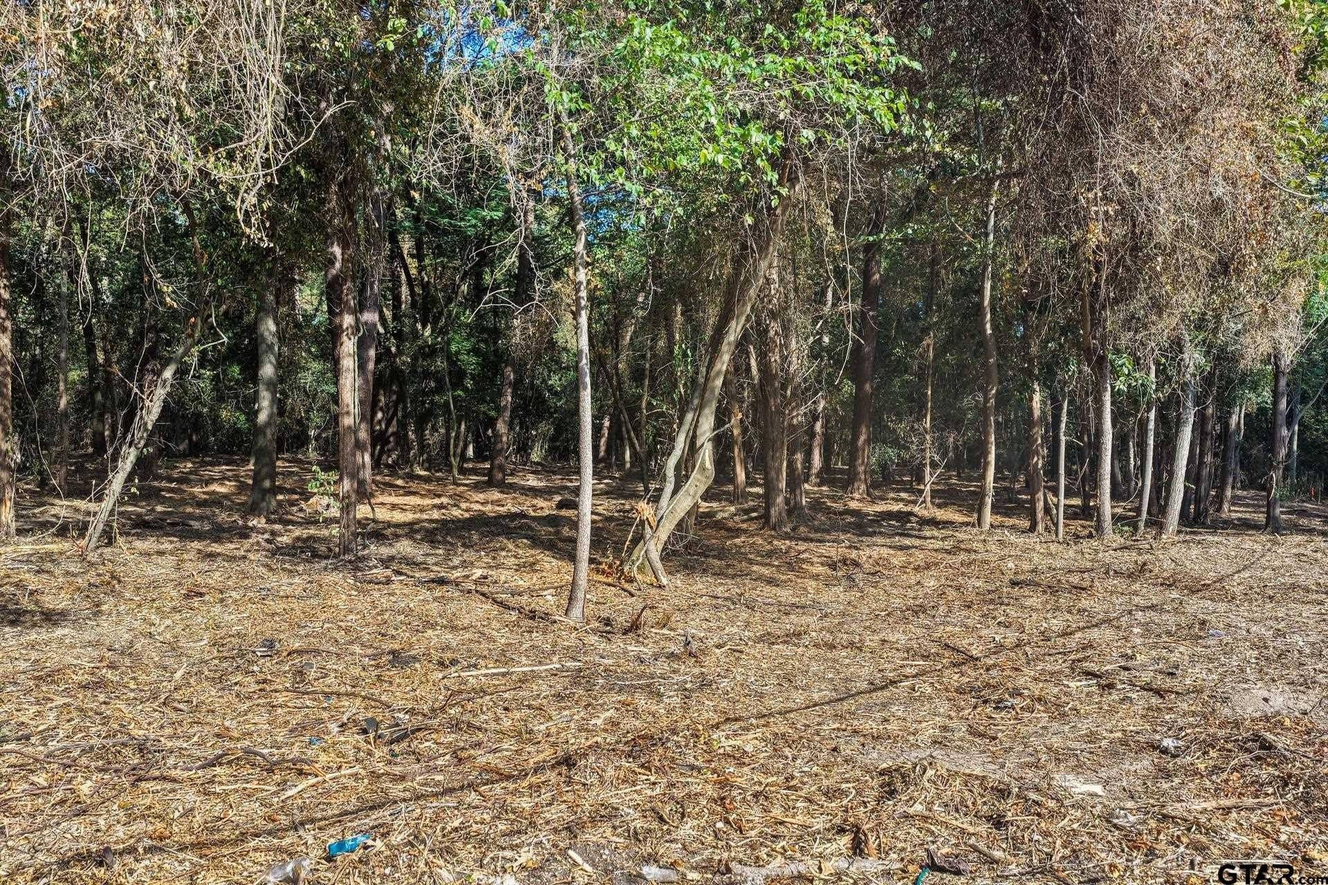 7 acres in Camp County - photo 8