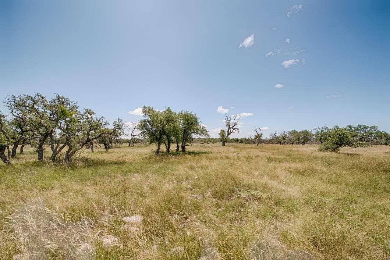 5.6 acres in Gillespie County - photo 4