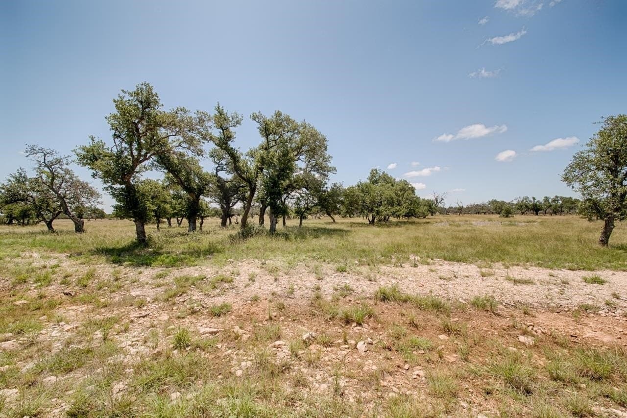 5.6 acres in Gillespie County - photo 3
