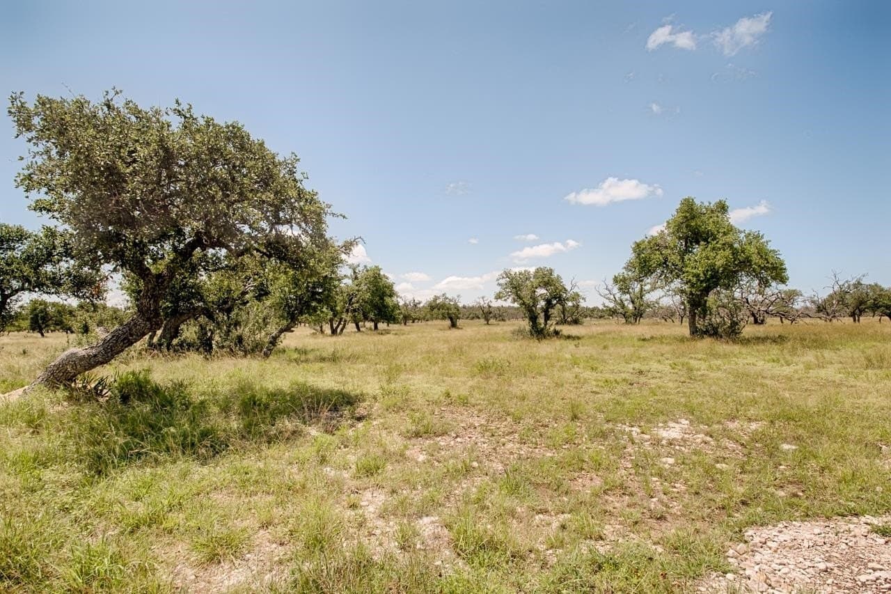 5.6 acres in Gillespie County - photo 2