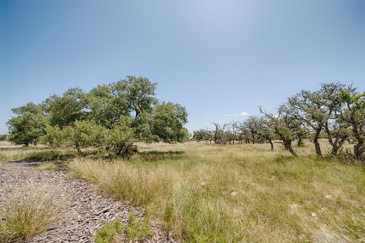 5.6 acres in Gillespie County - photo 5