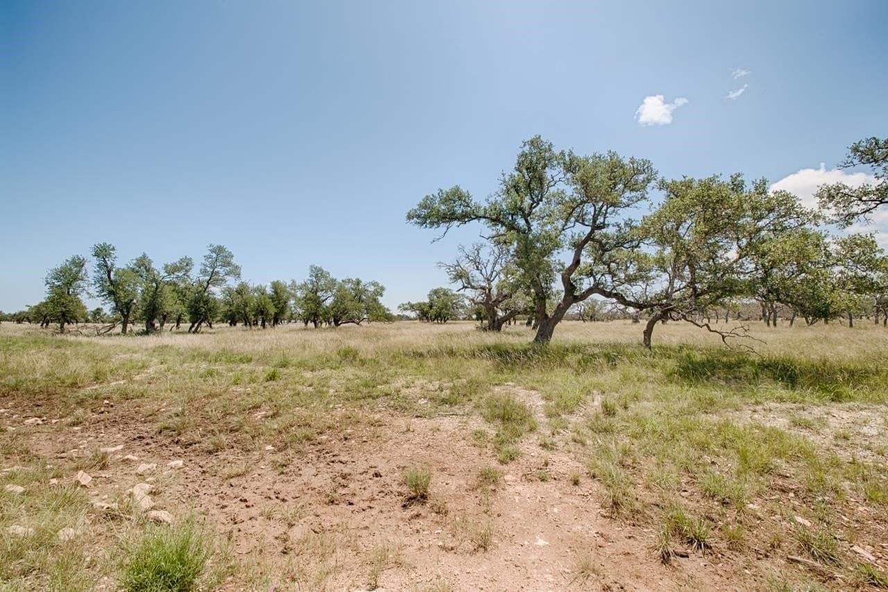 5.6 acres in Gillespie County - photo 6