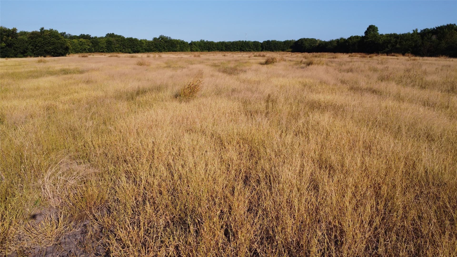 69.18 acres in Lamar County - photo 2