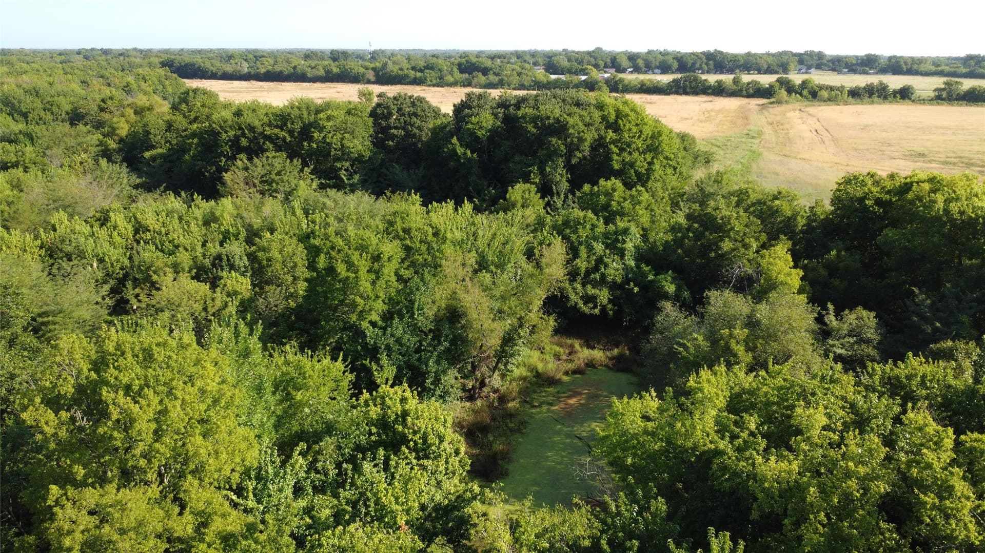 69.18 acres in Lamar County - photo 15