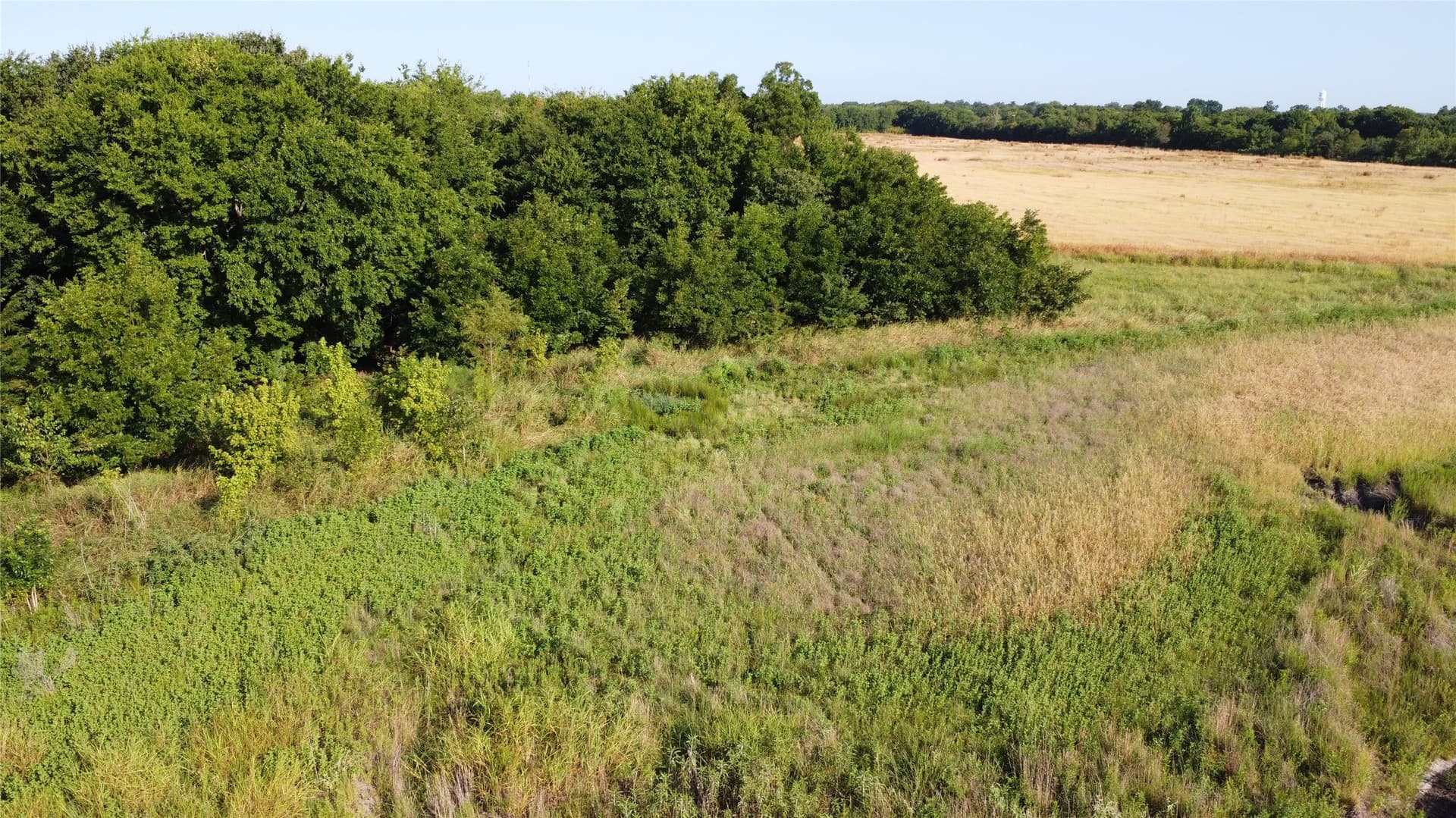 69.18 acres in Lamar County - photo 14