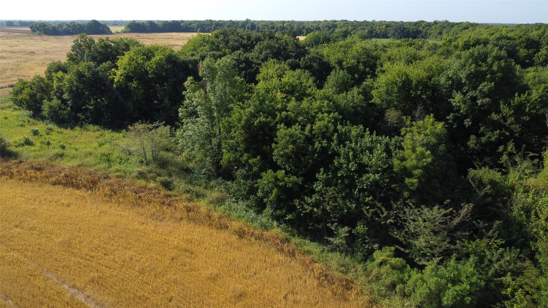 69.18 acres in Lamar County - photo 17