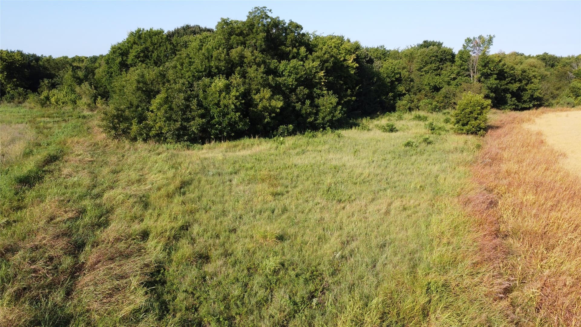 69.18 acres in Lamar County - photo 11