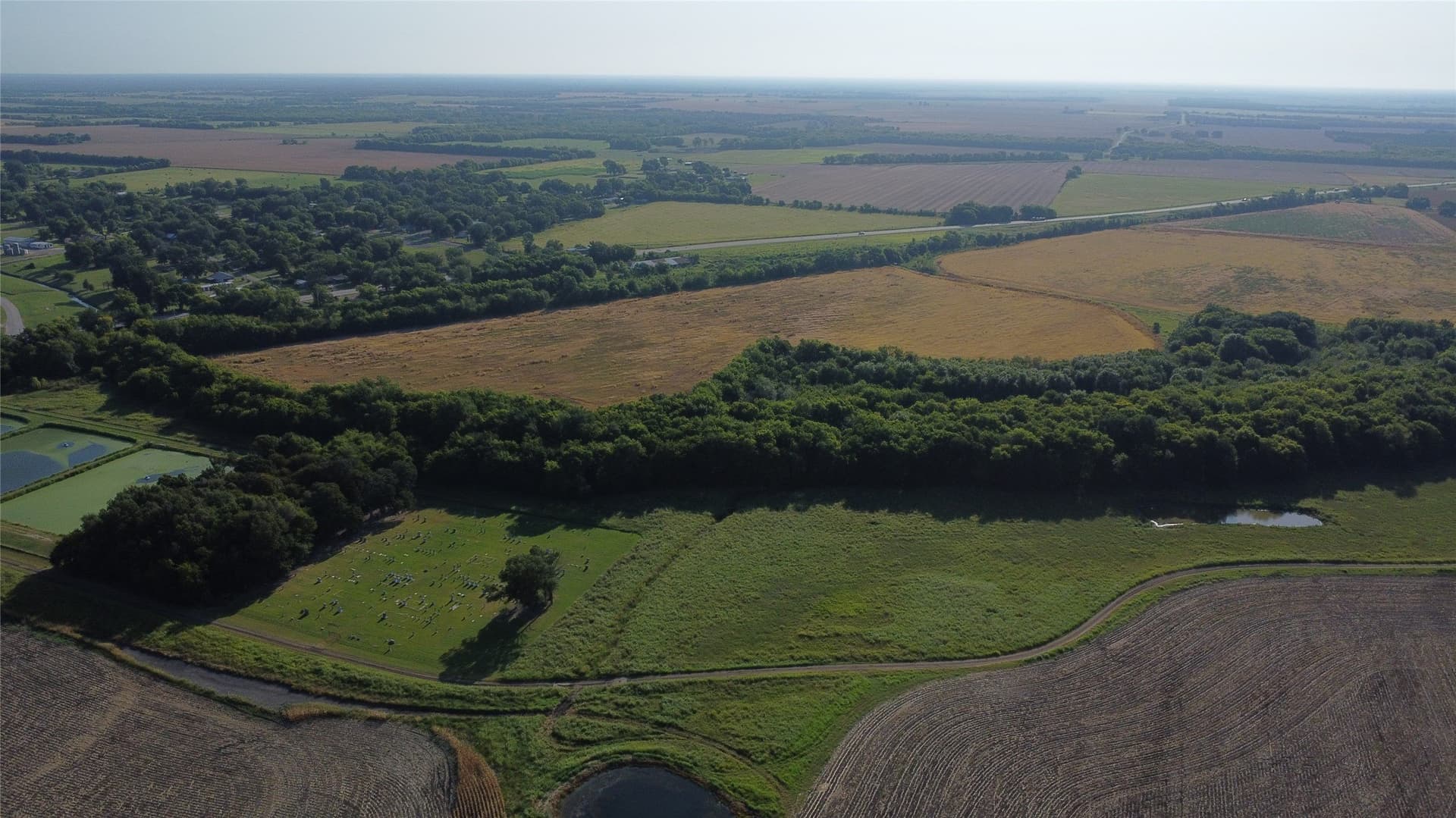 69.18 acres in Lamar County - photo 7