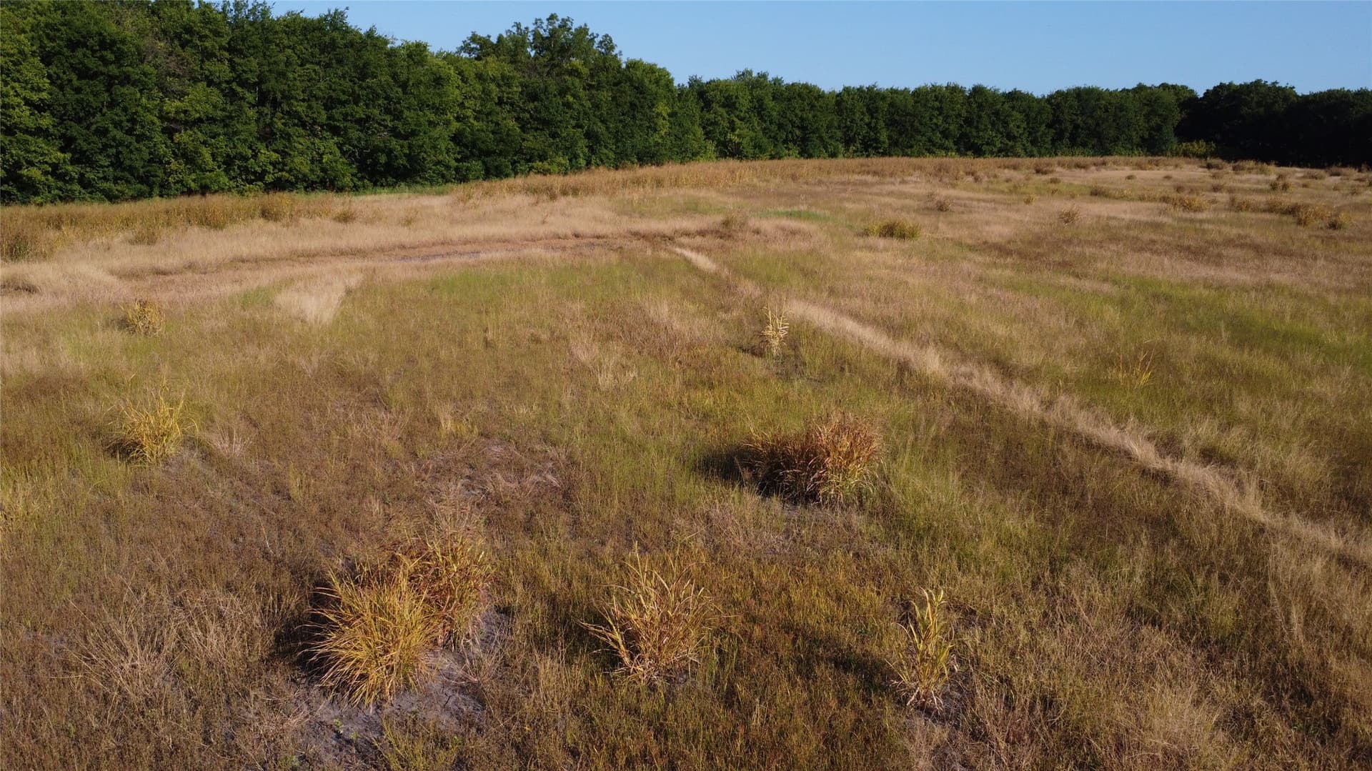 69.18 acres in Lamar County - photo 8