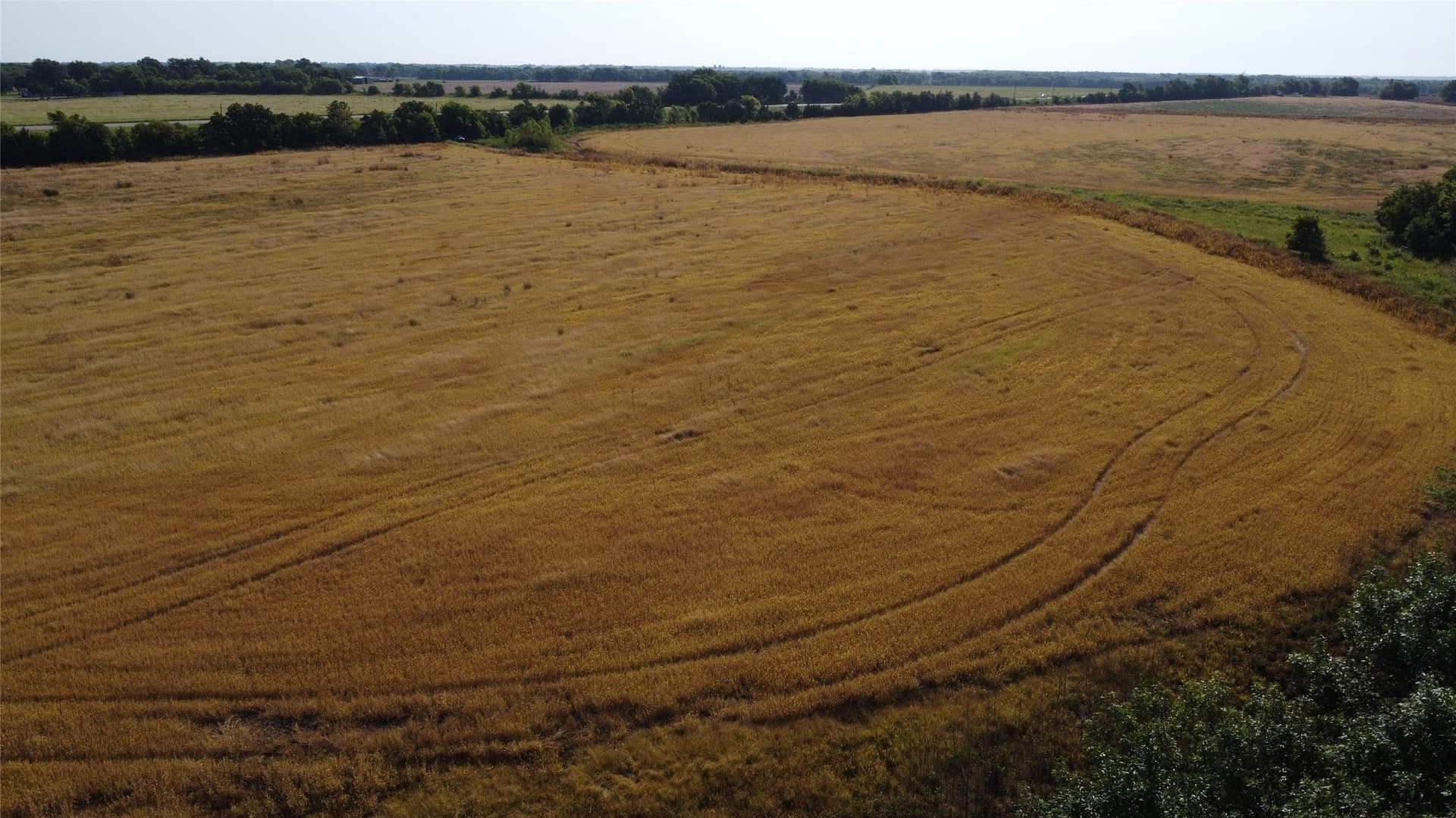 69.18 acres in Lamar County - photo 19