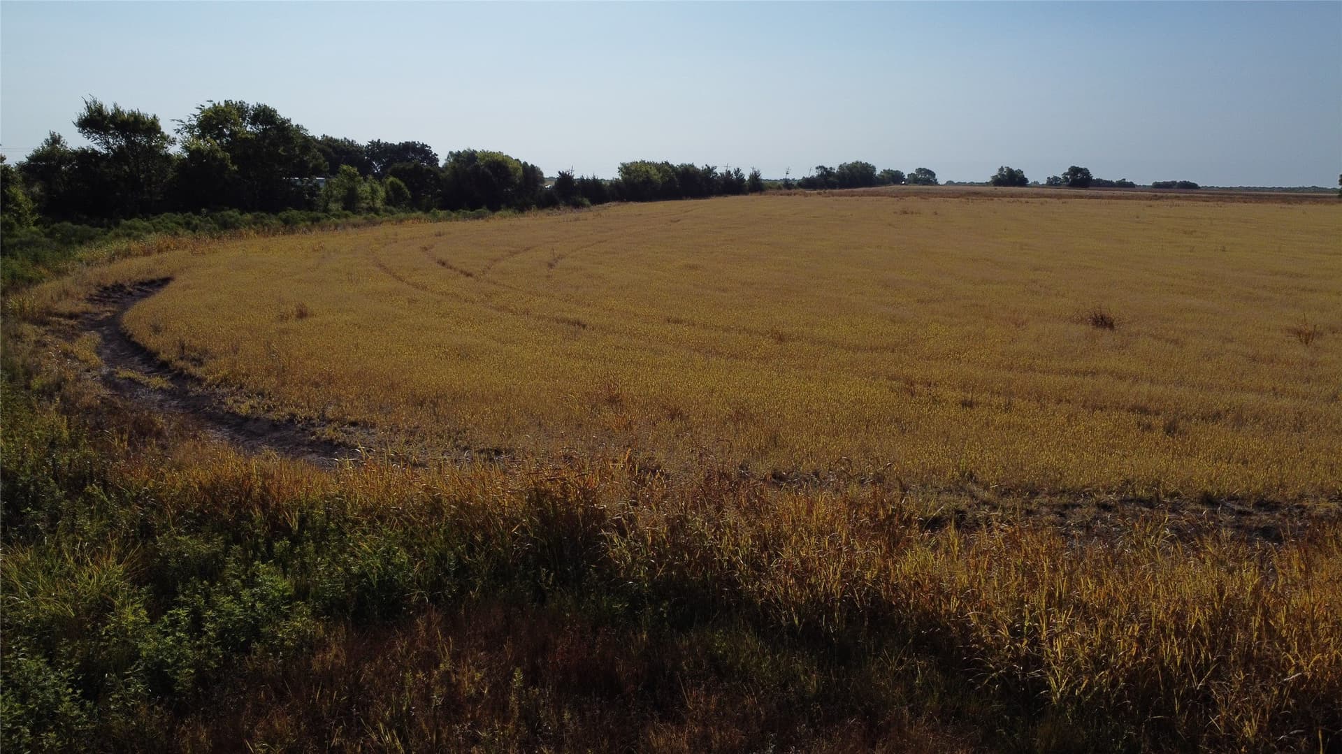 69.18 acres in Lamar County - photo 21