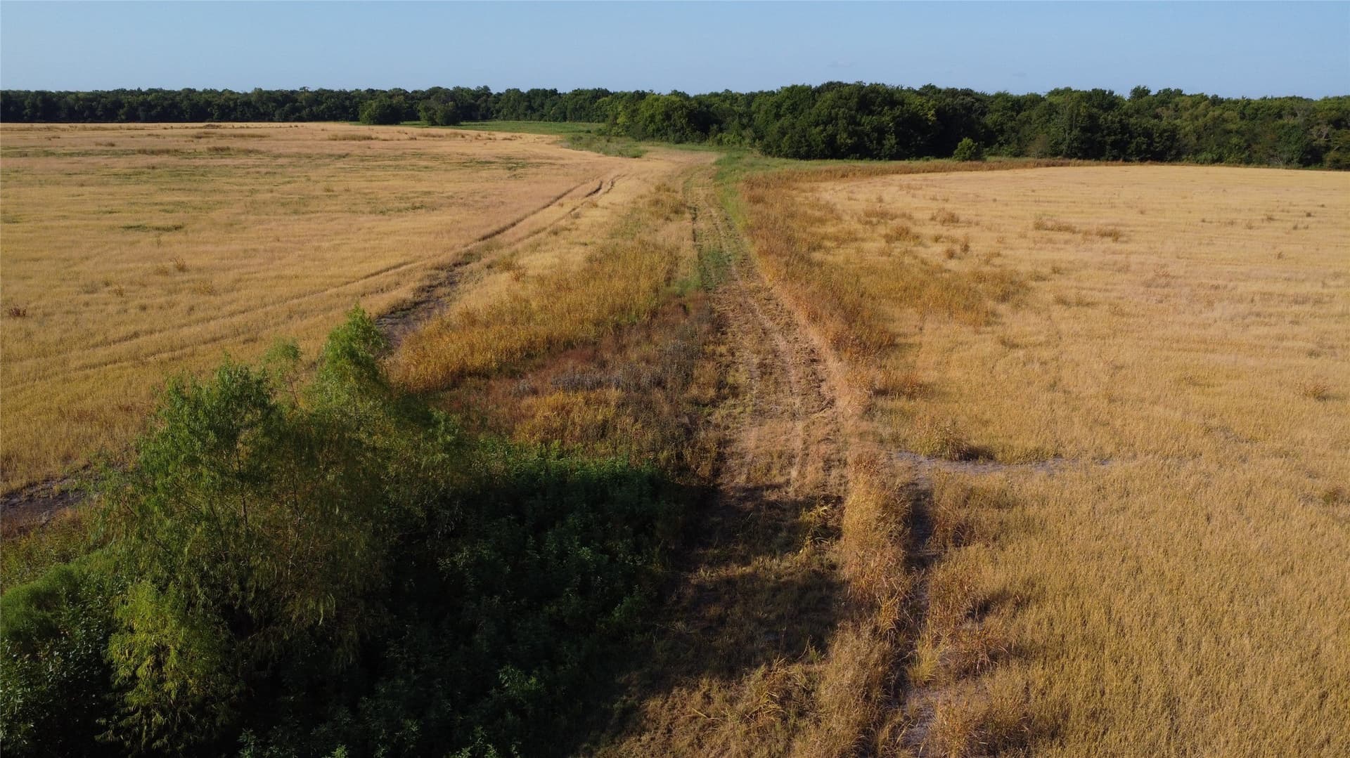 69.18 acres in Lamar County - photo 10