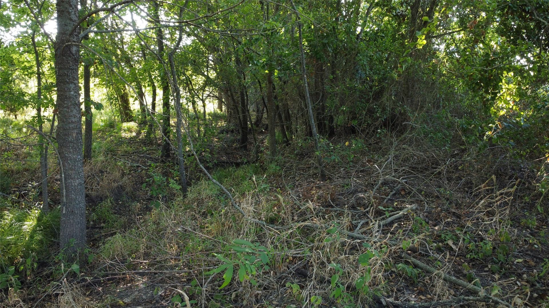 69.18 acres in Lamar County - photo 24