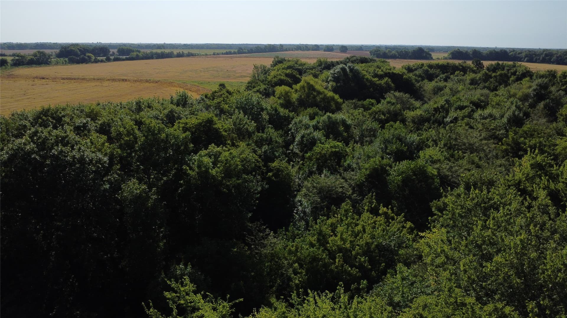 69.18 acres in Lamar County - photo 18