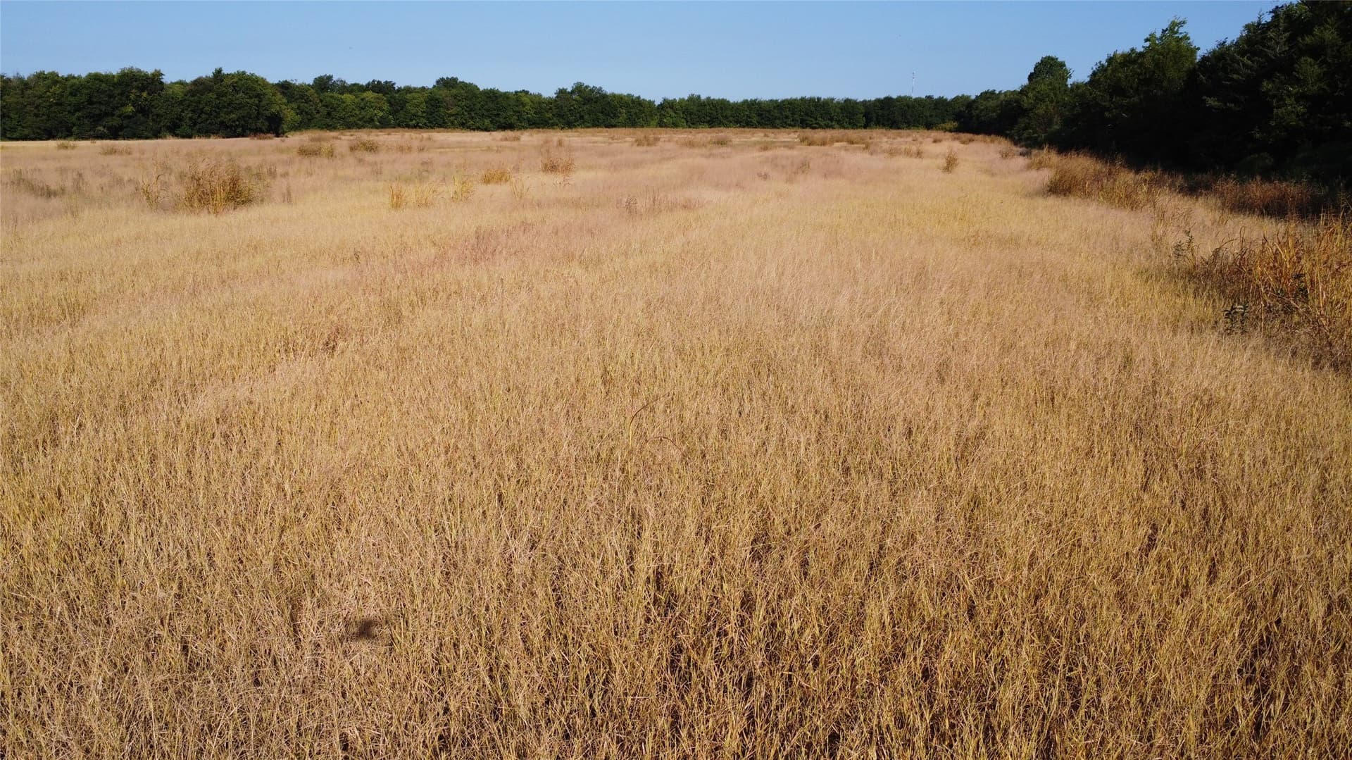 69.18 acres in Lamar County - photo 12