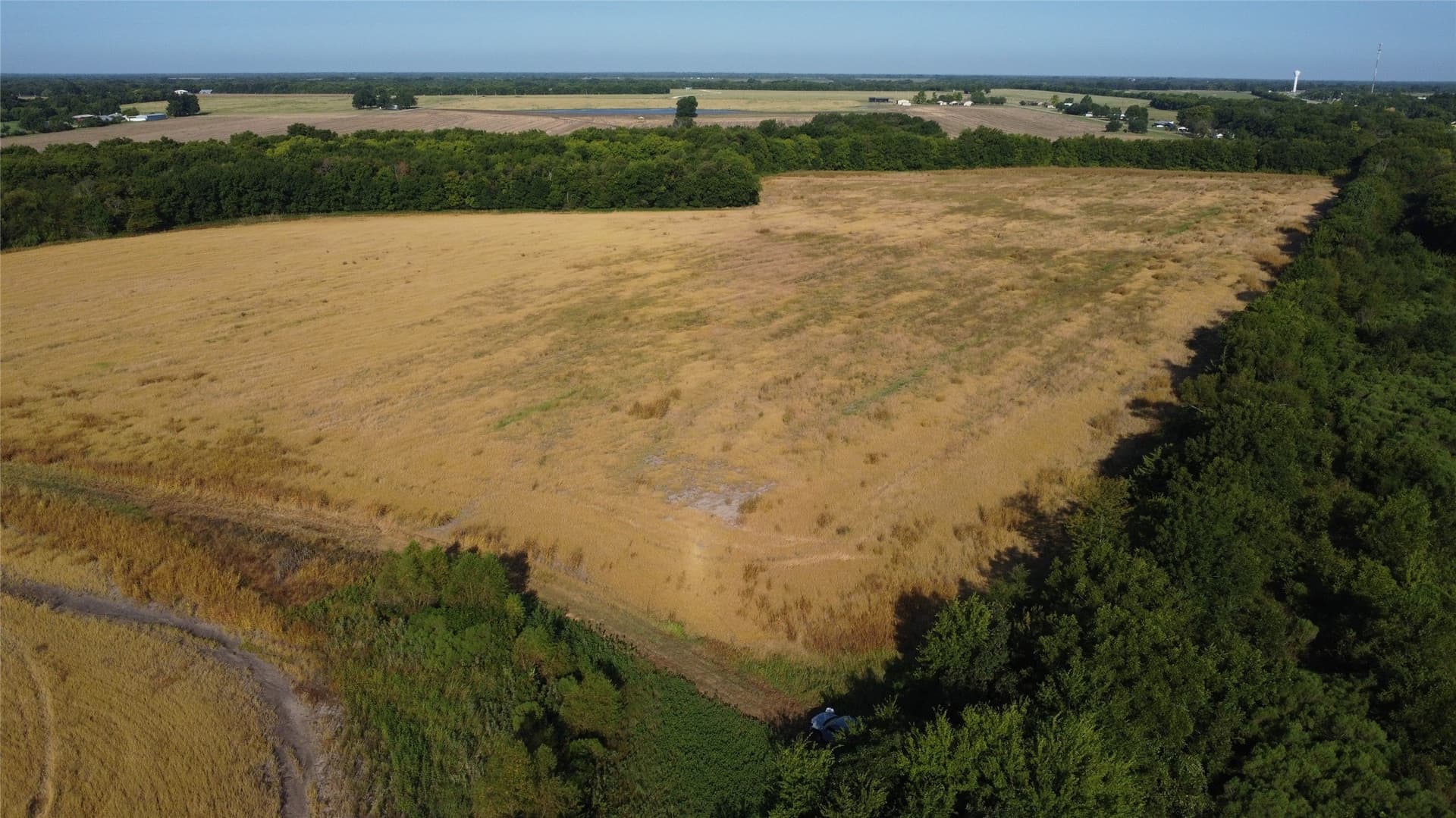 69.18 acres in Lamar County - photo 6